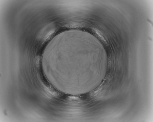 X0000095880167200802011052