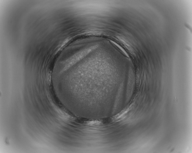 X0000095880168200802011052