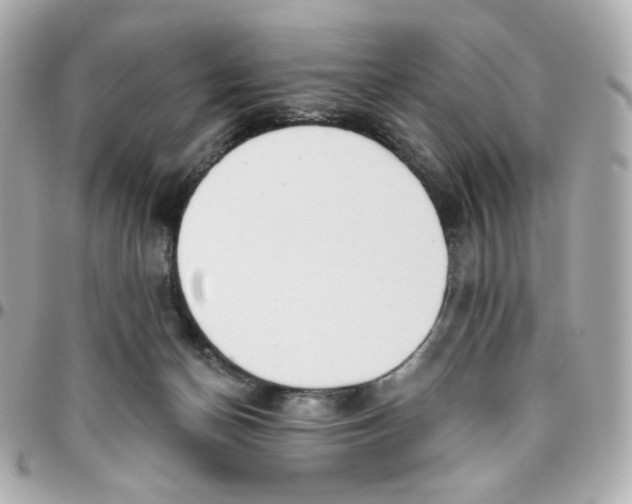 X0000095880174200802011052