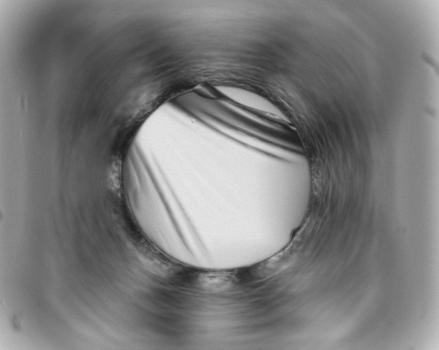 X0000095880175200802011052