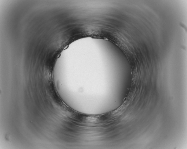 X0000095880176200802011052