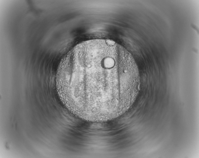 X0000095880177200802011052