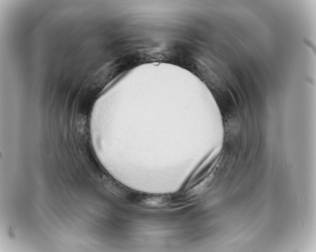 X0000095880178200802011052