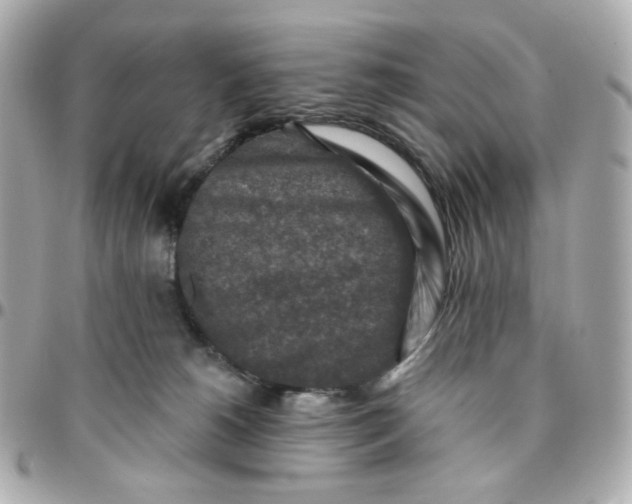 X0000095880180200802011052