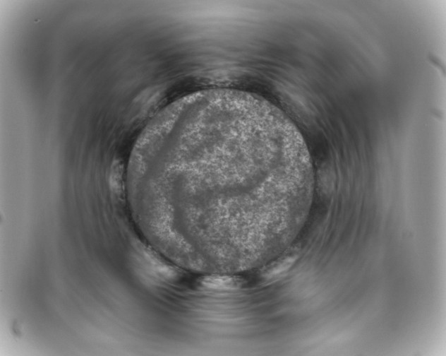 X0000095880181200802011052