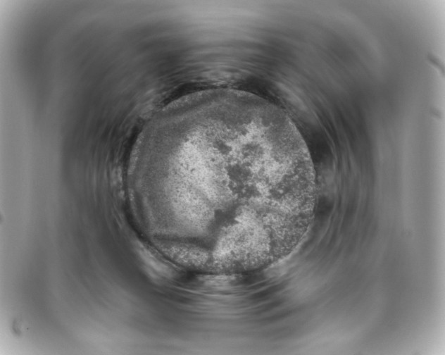 X0000095880182200802011052