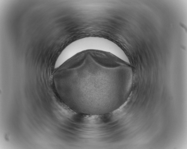 X0000095880186200802011052