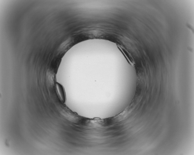 X0000095880188200802011052