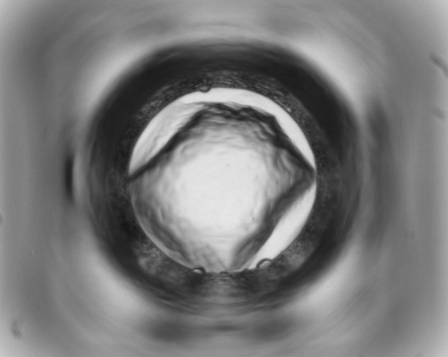 X0000095880189200802011052