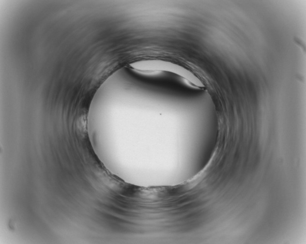 X0000095880190200802011052