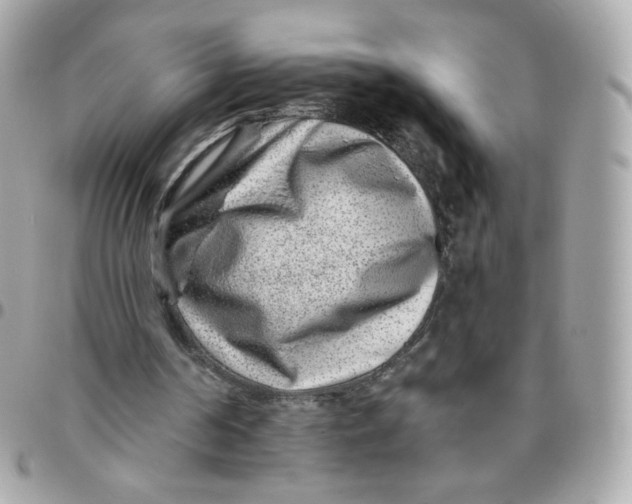 X0000095880194200802011052