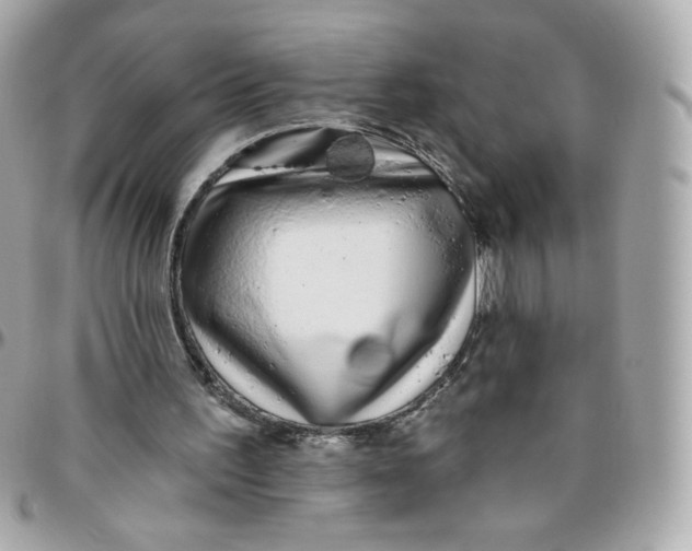 X0000095880195200802011052