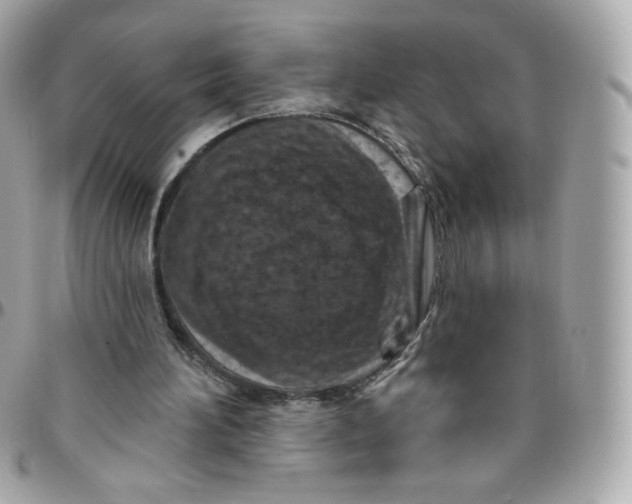 X0000095880196200802011052