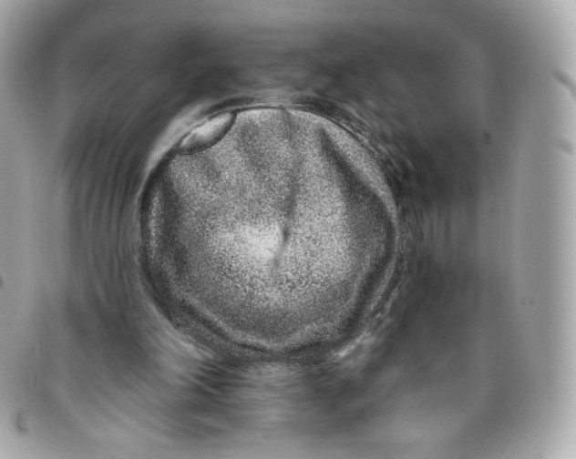 X0000095880198200802011052