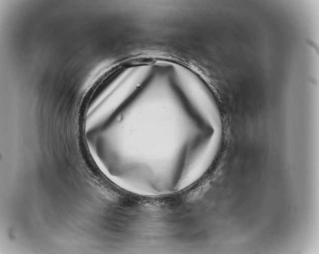 X0000095880199200802011052