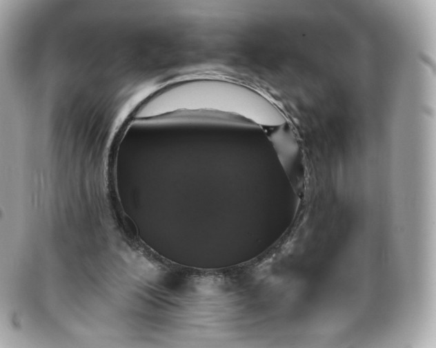 X0000095880200200802011052