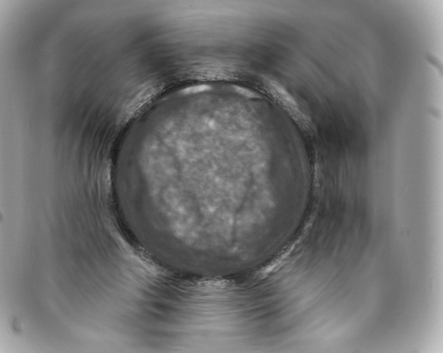 X0000095880202200802011052