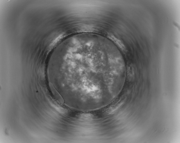 X0000095880203200802011052