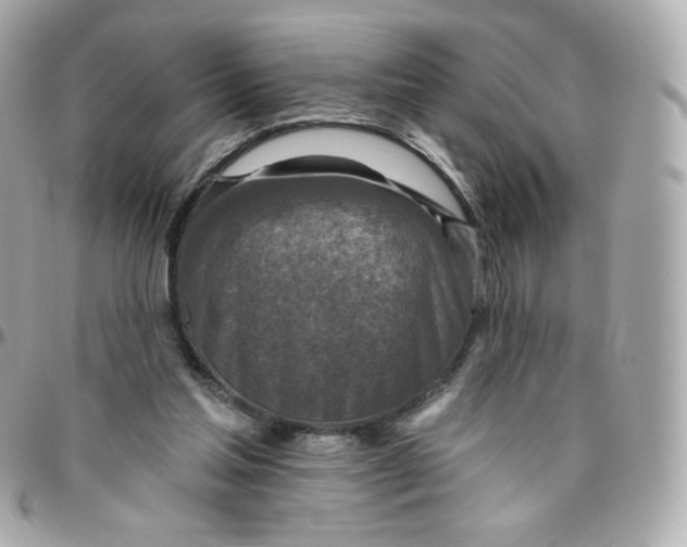 X0000095880205200802011051