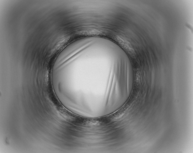 X0000095880206200802011051