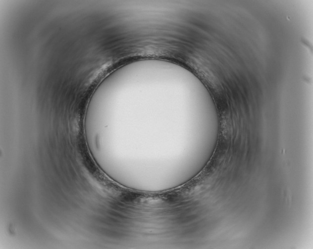 X0000095880208200802011051