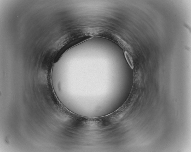 X0000095880209200802011051