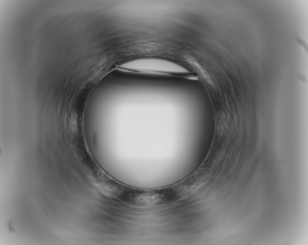 X0000095880213200802011051