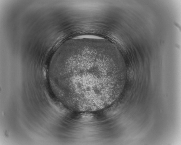 X0000095880214200802011051