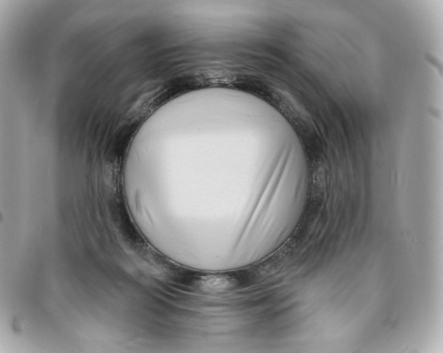 X0000095880218200802011051