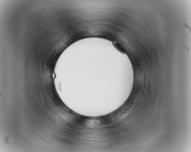 X0000095880220200802011051