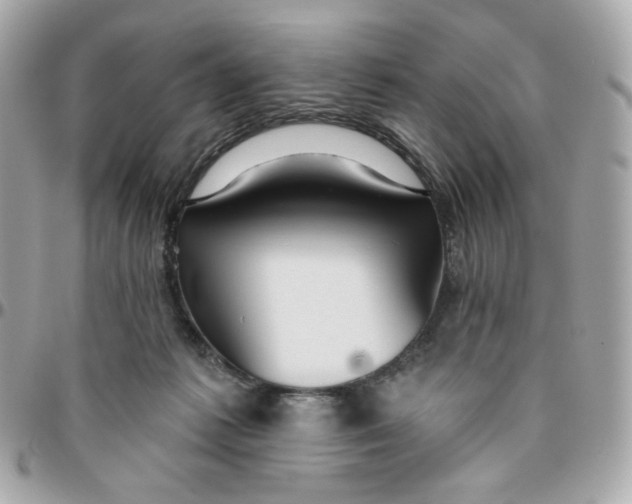 X0000095880221200802011051