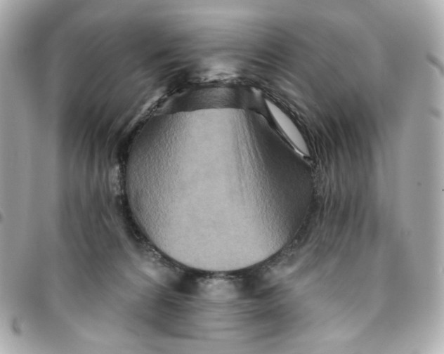 X0000095880224200802011051