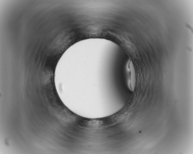 X0000095880225200802011051