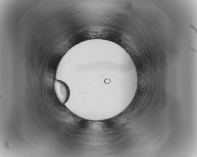 X0000095880226200802011051