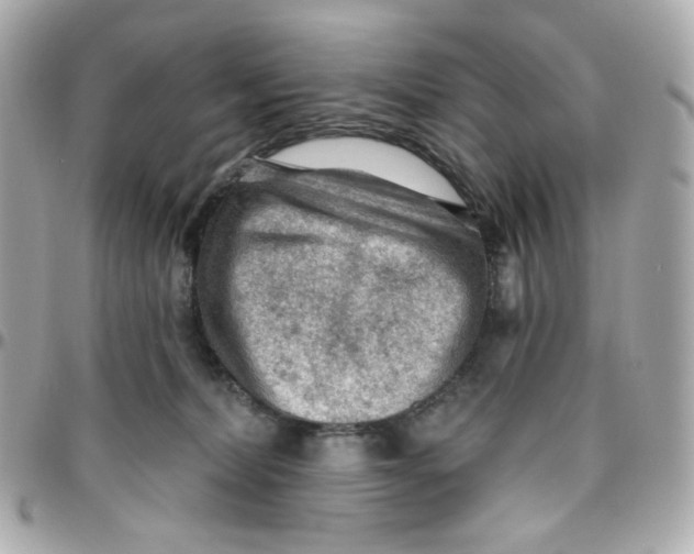 X0000095880228200802011051