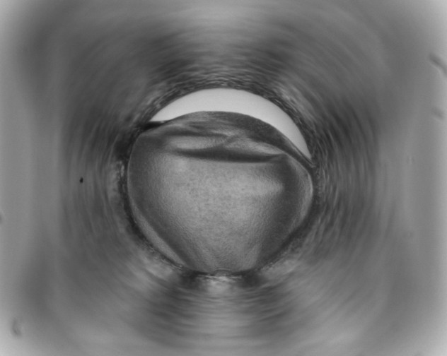 X0000095880229200802011051