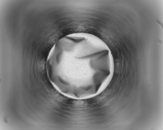 X0000095880230200802011051