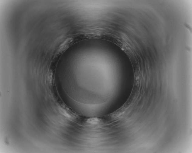 X0000095880231200802011051