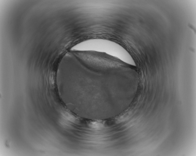 X0000095880232200802011051