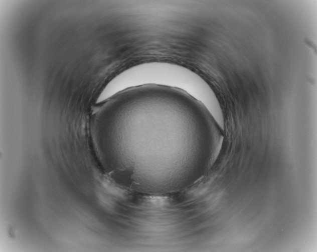 X0000095880233200802011051