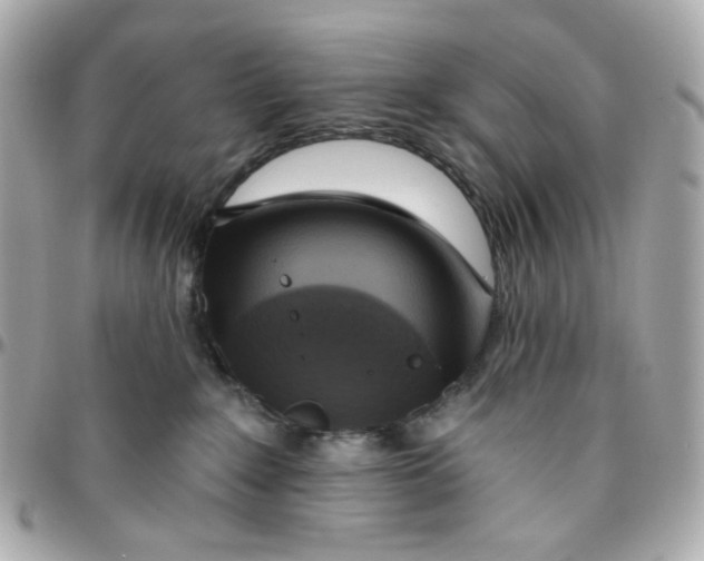 X0000095880235200802011051