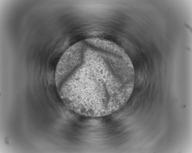 X0000095880236200802011051