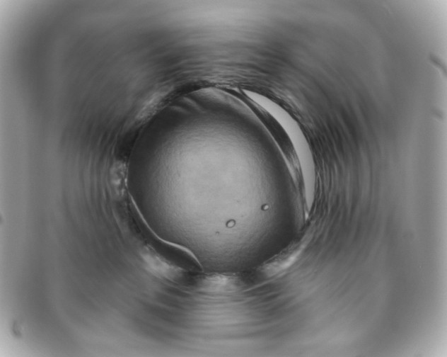 X0000095880237200802011051