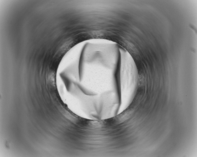 X0000095880238200802011051