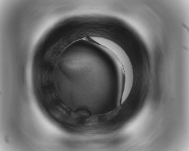 X0000095880239200802011051