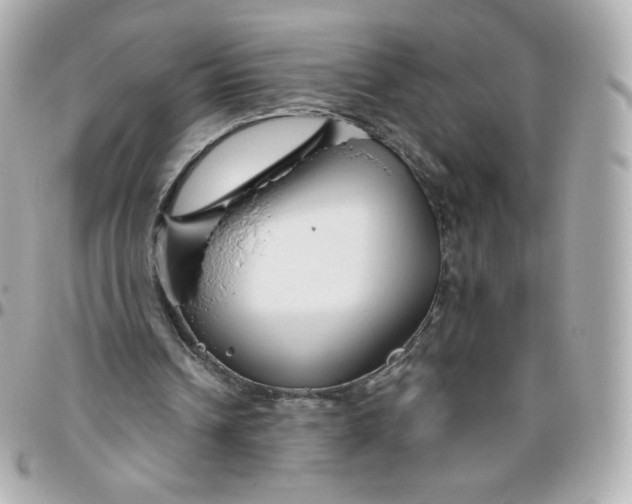 X0000095880242200802011050