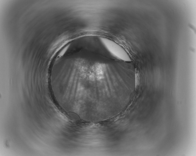 X0000095880243200802011050