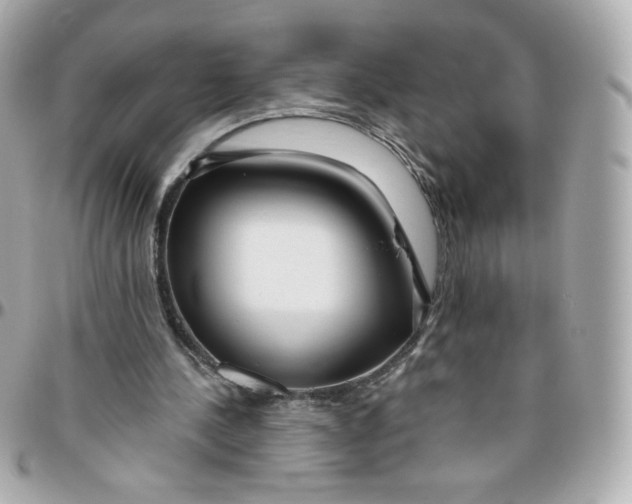 X0000095880244200802011050