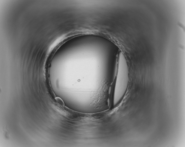 X0000095880246200802011050