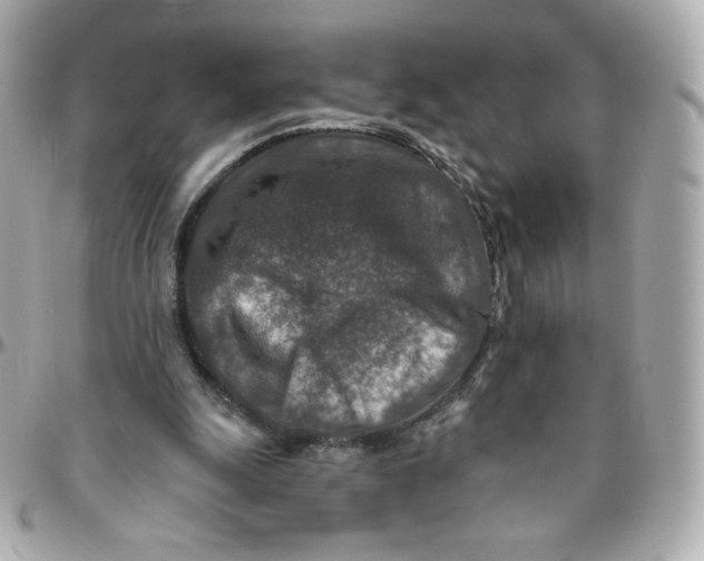 X0000095880247200802011050